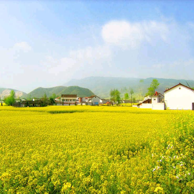 Liu