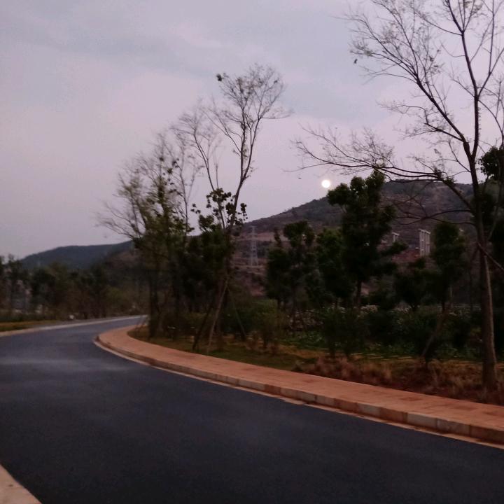 平安每一天