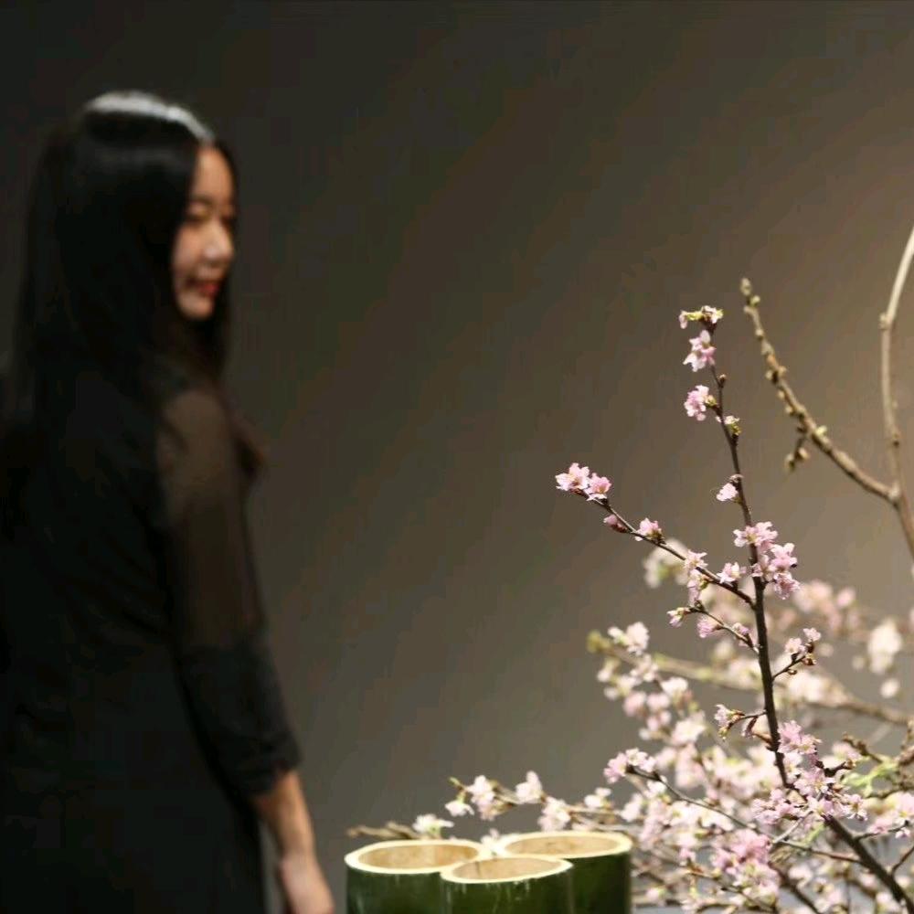 梵小若
