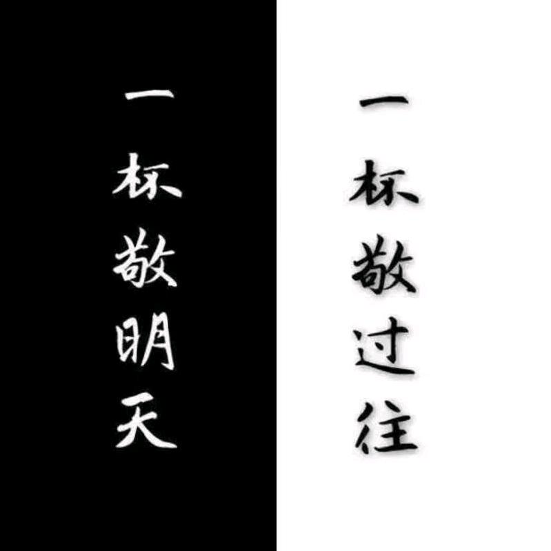 振振xu