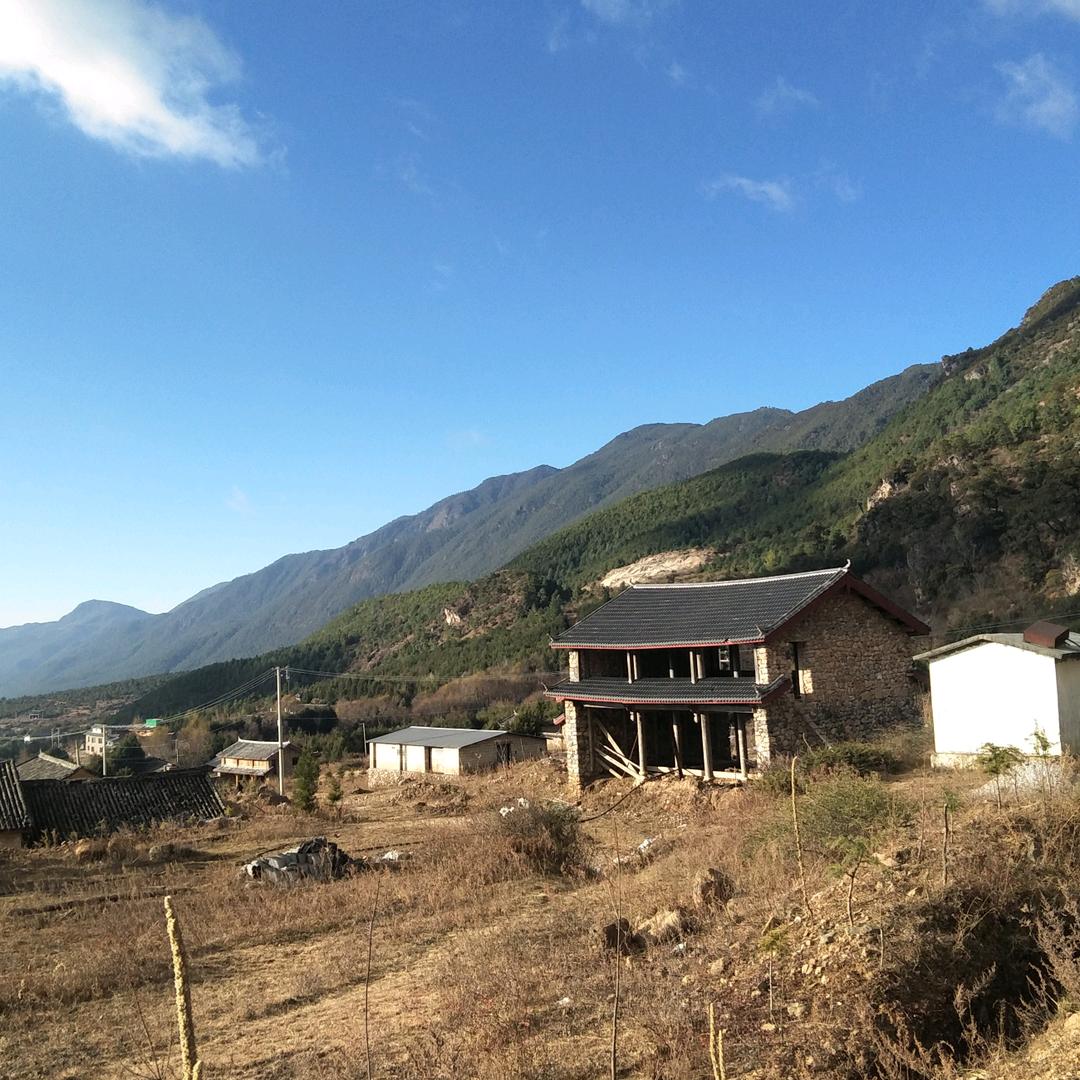 波哥