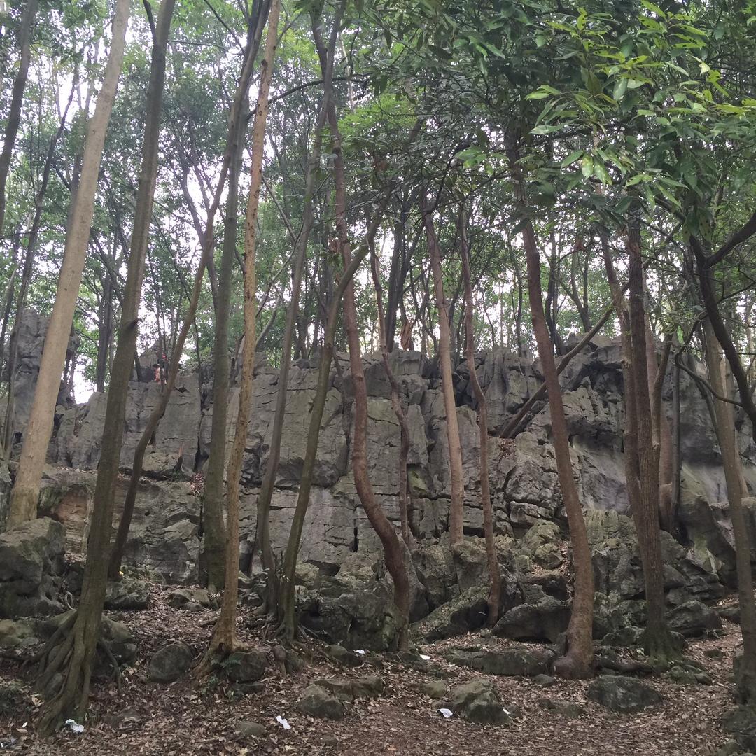 快乐就是幸福220