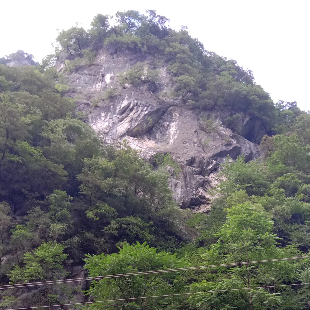 长峡老王