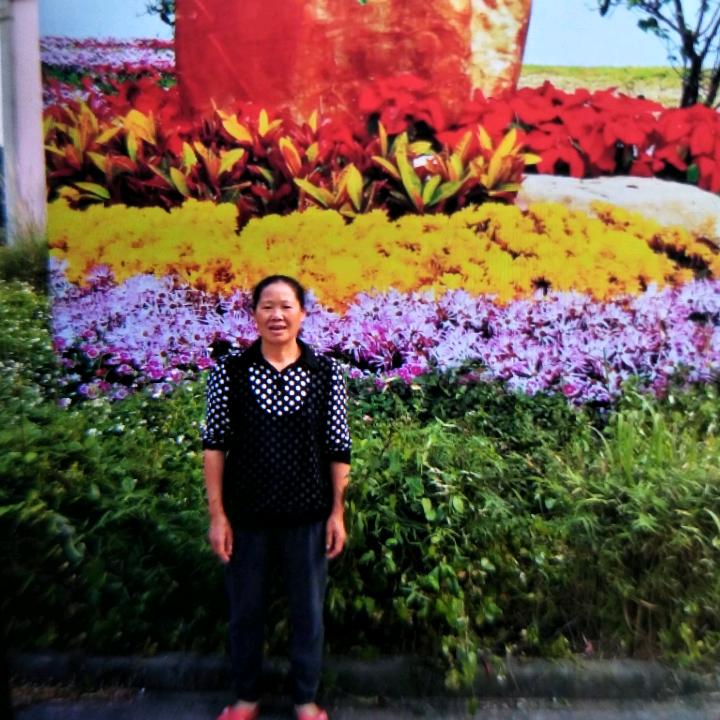 多姿多彩@向