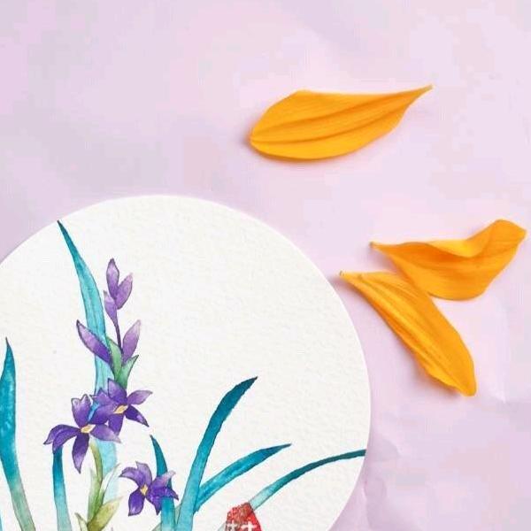 小花豹