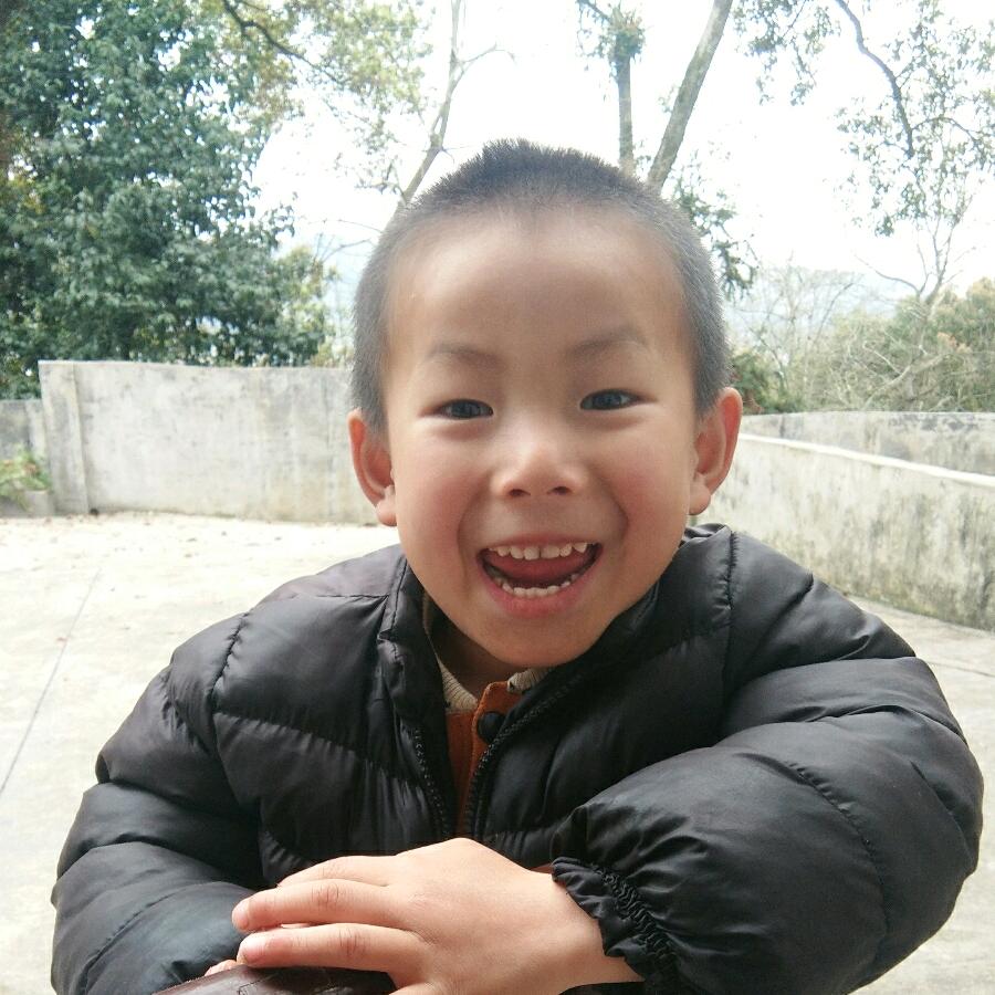 杏之仁