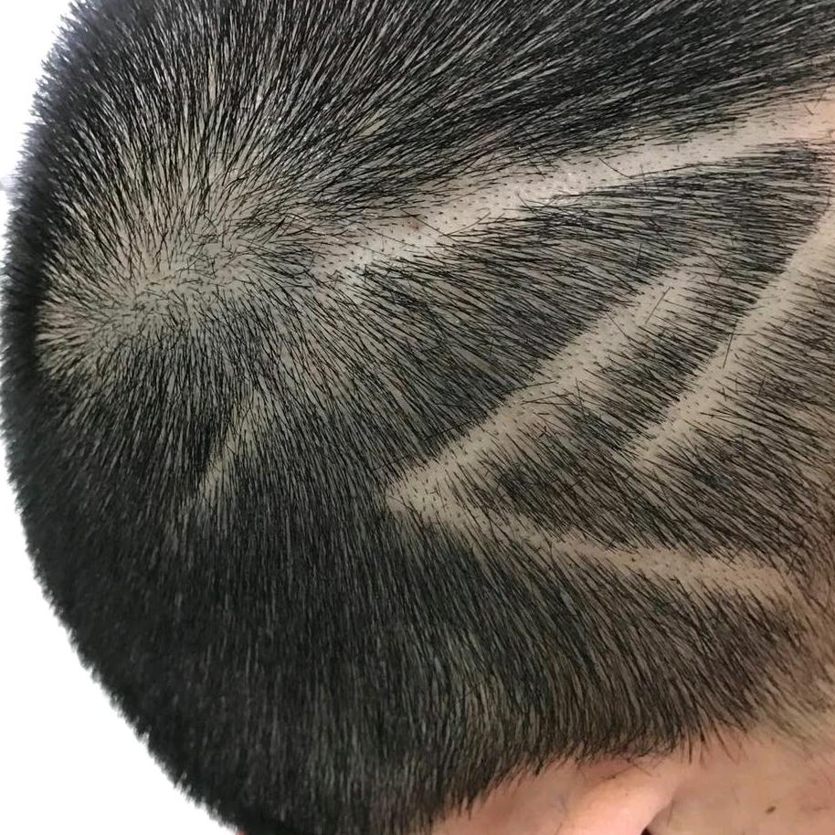 锋哥厉常