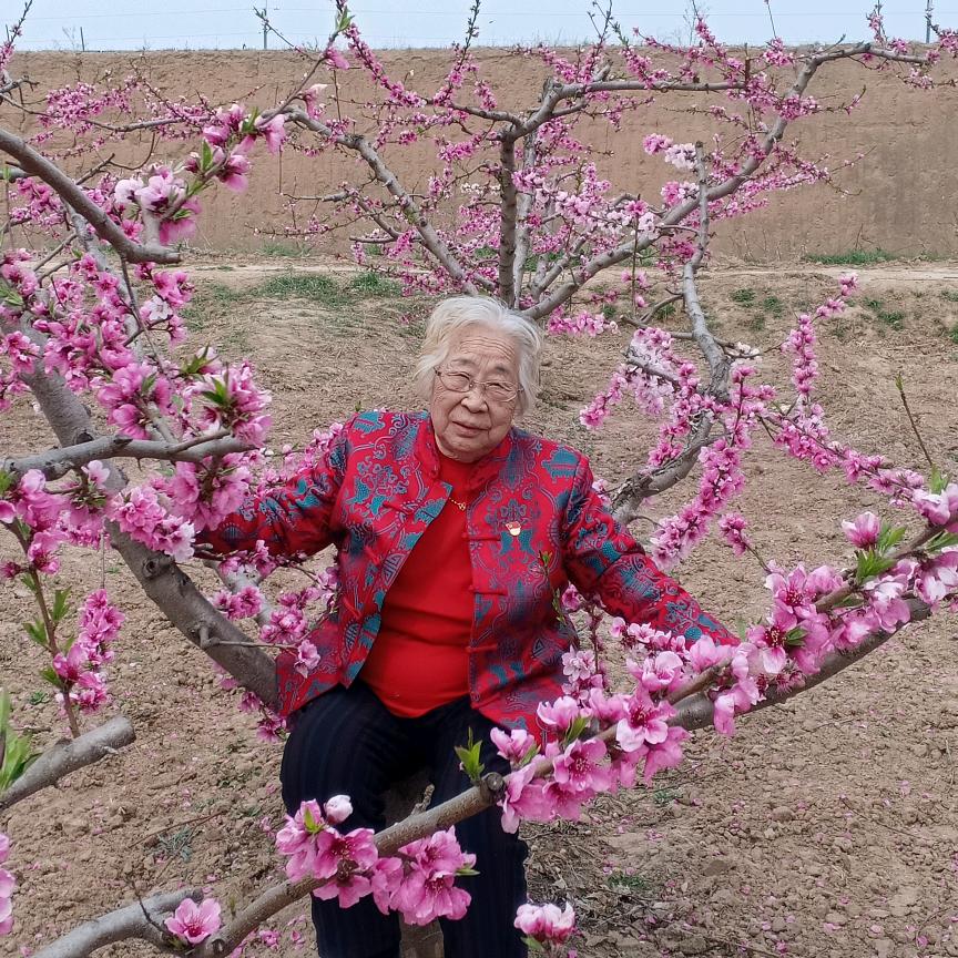 胡秋霞