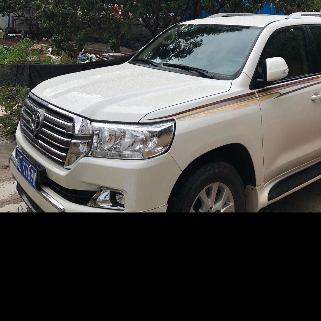 波哥