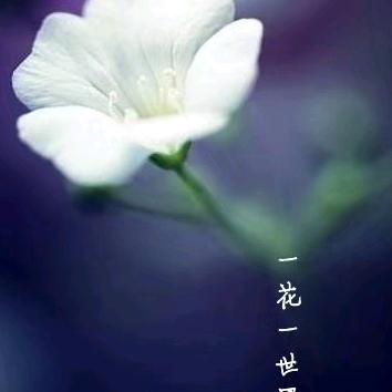 一笑而过