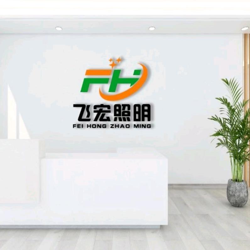 飞宏照明