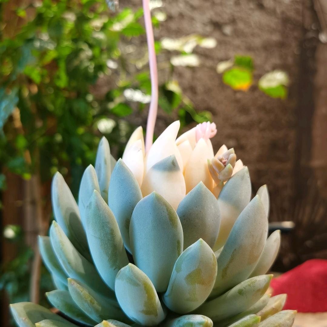 ꧁💞 є琼💞є月💞꧂໑ຼₒ₂5