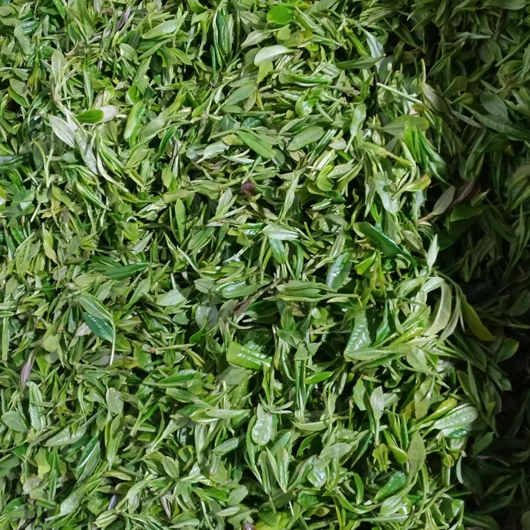 太平庄彭师傅荼