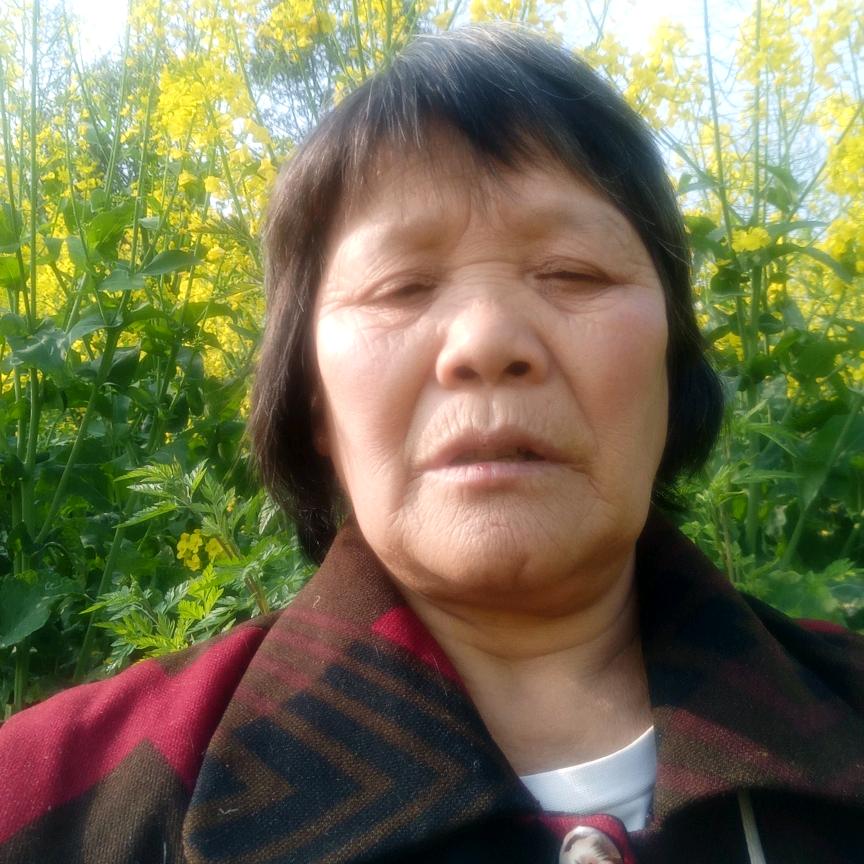 张建秀