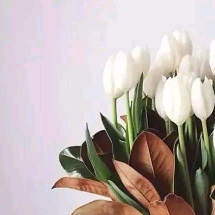 军歌（金塔翔宇步行街艾蘇店）