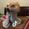 梦璃1