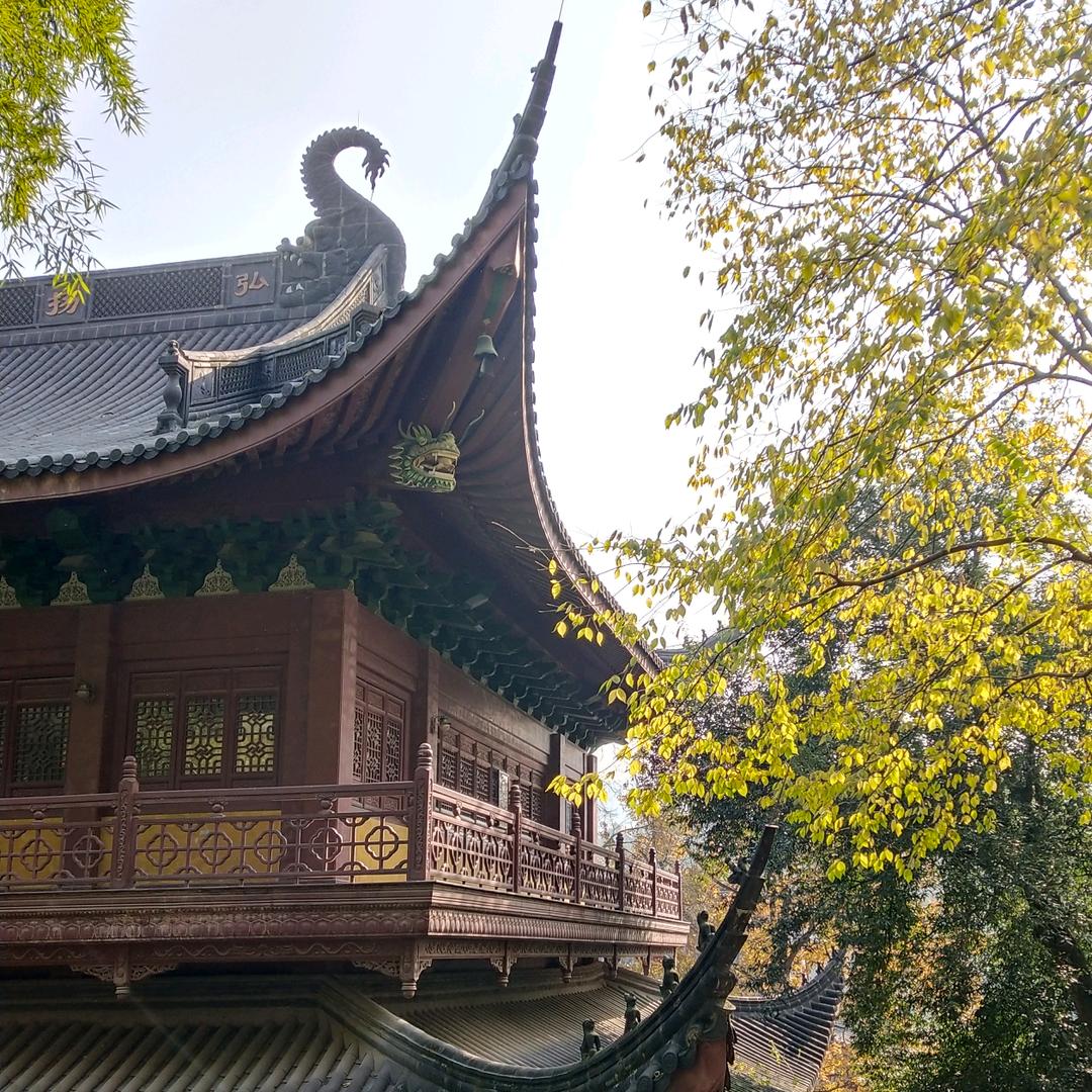 善缘