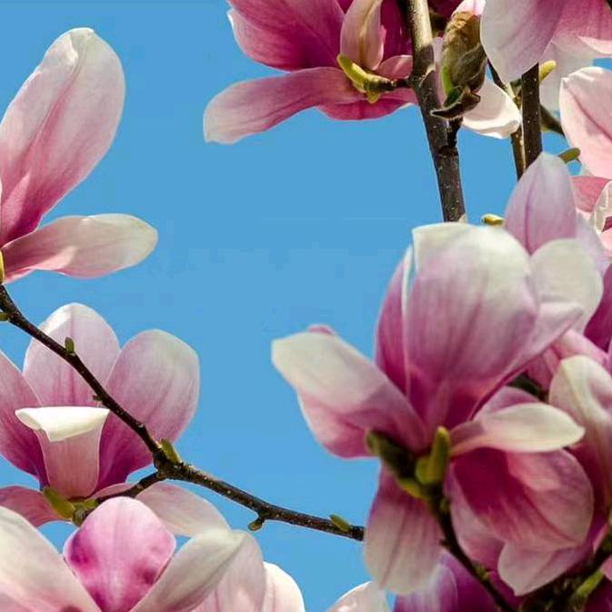 用户1355637412529开心的我