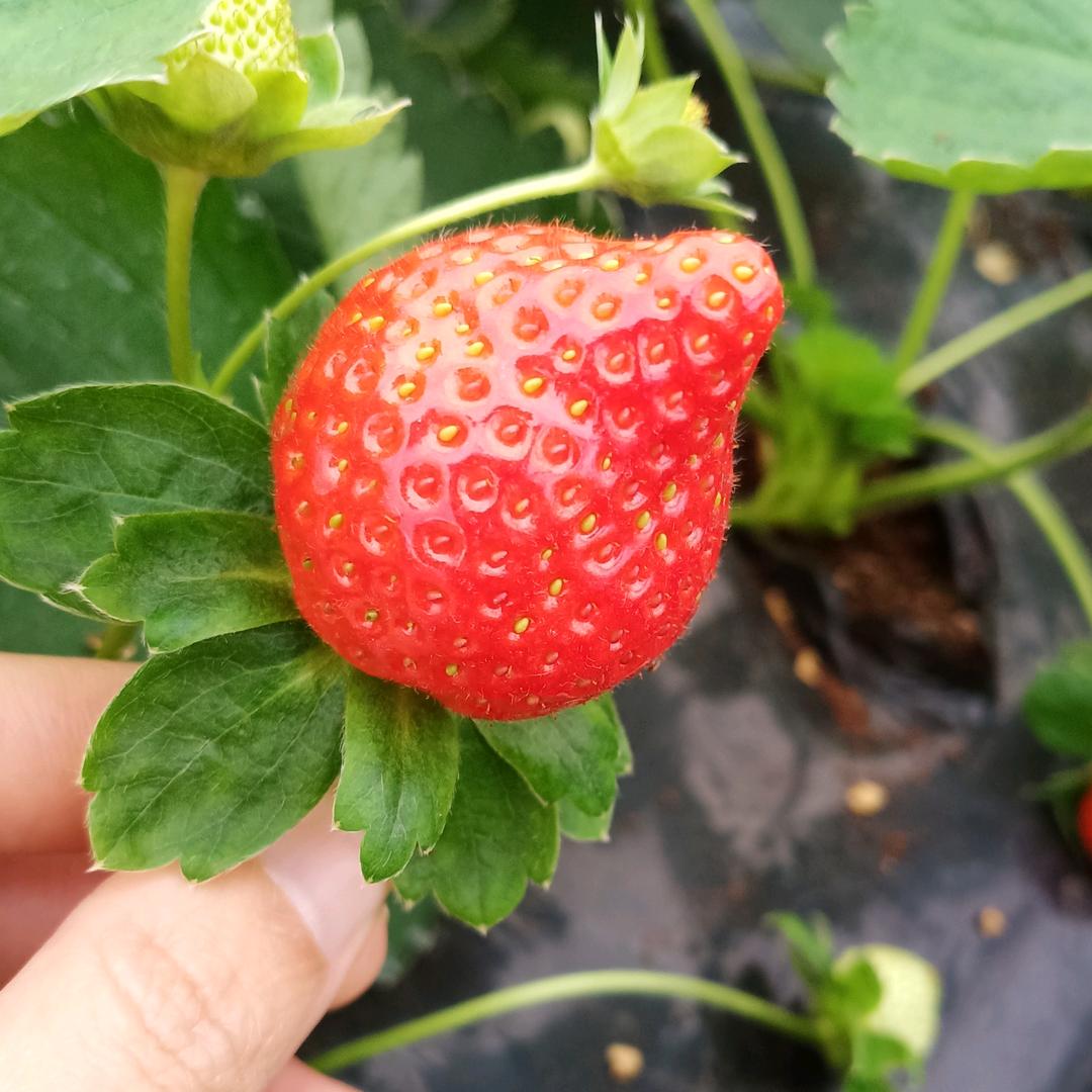 互关互赞一天内必回