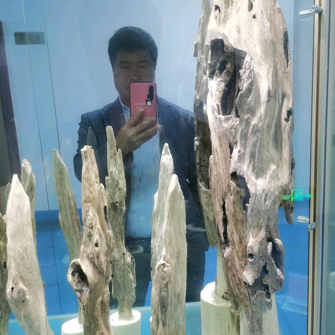 广西灵山县通达苗木场    陈哥