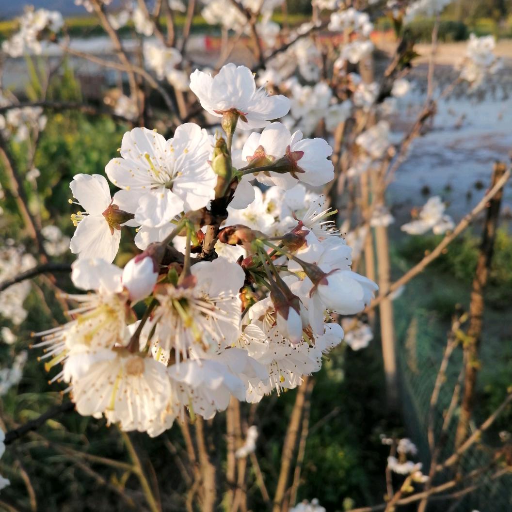 时光难留🧚‍♀️