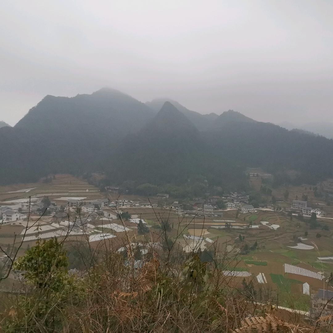 轩哥