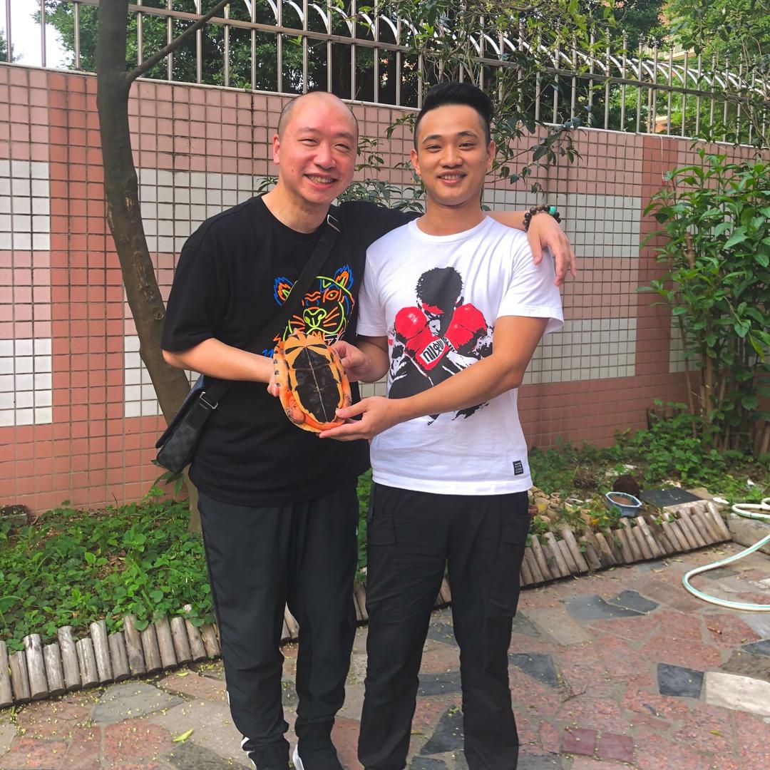 东莞龟谷金钱龟 林海（收龟收退坑龟）