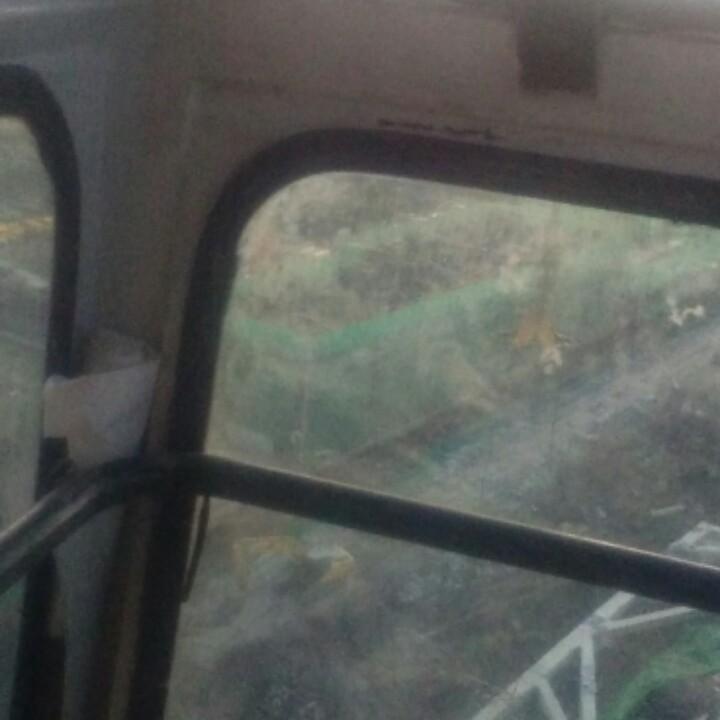 苗世豪