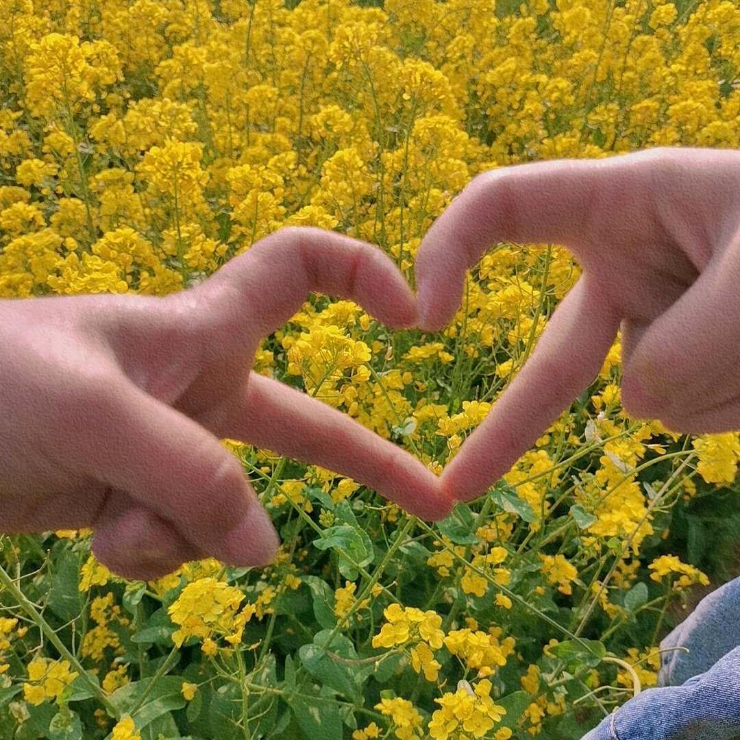💕珍姐
