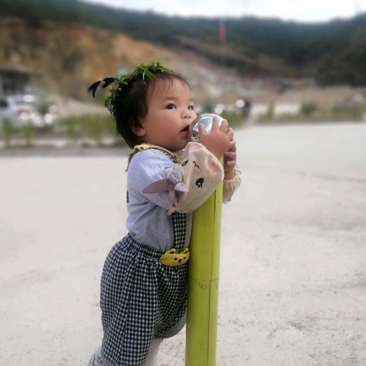 大燕🌻