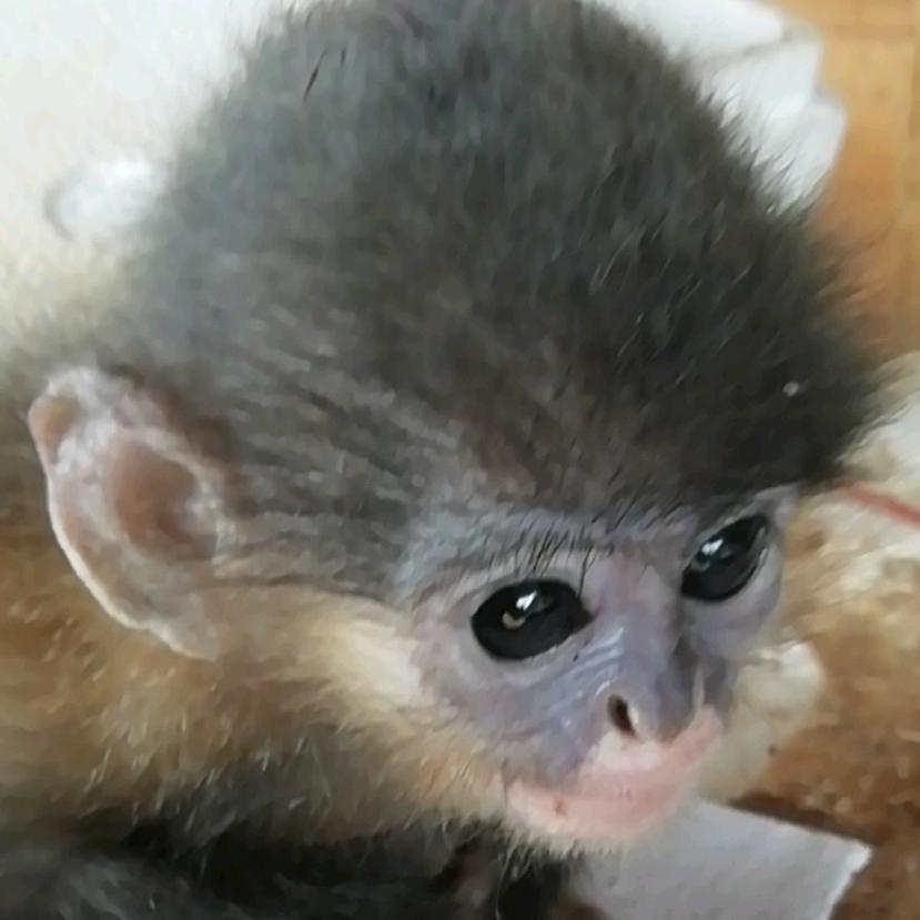 一壶浊酒自独饮