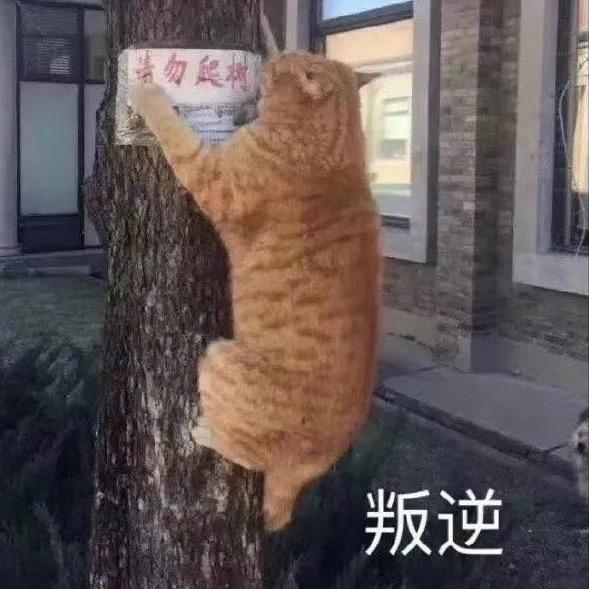 如图所示