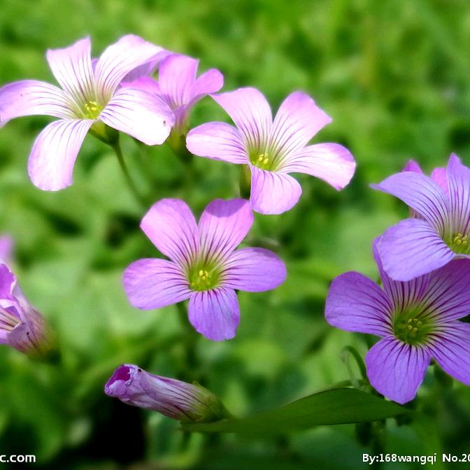 因为爱所以爱280178210137