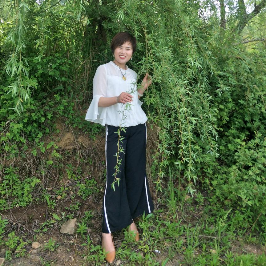 年年好