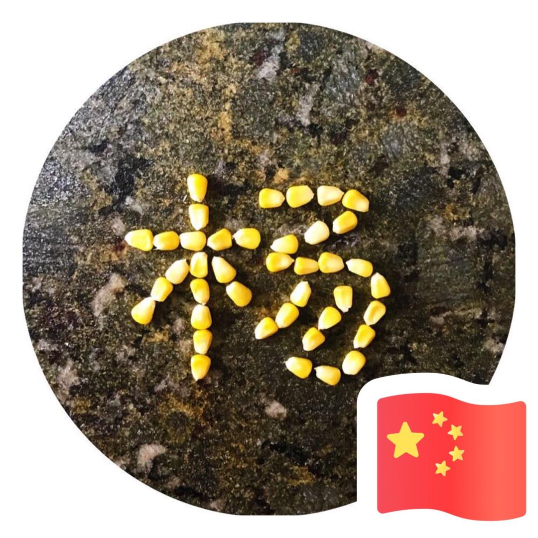 青春的纪念碑@抖音