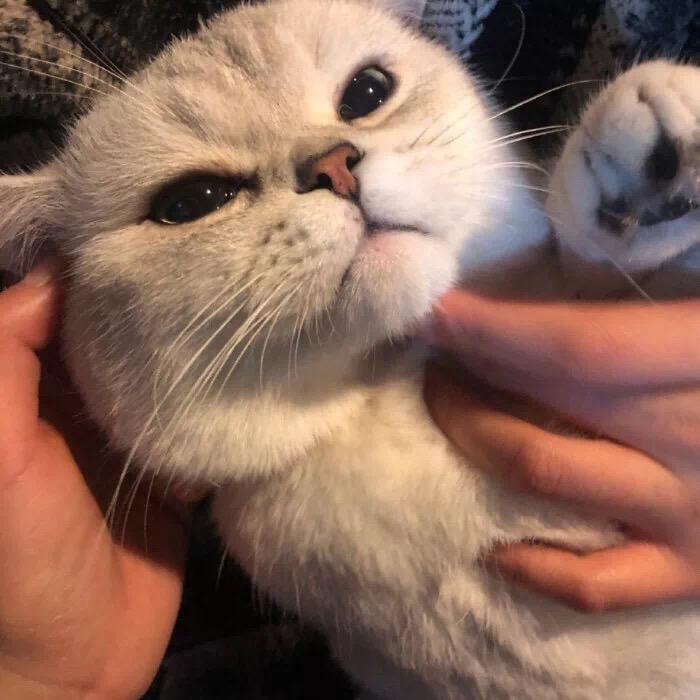别来无恙