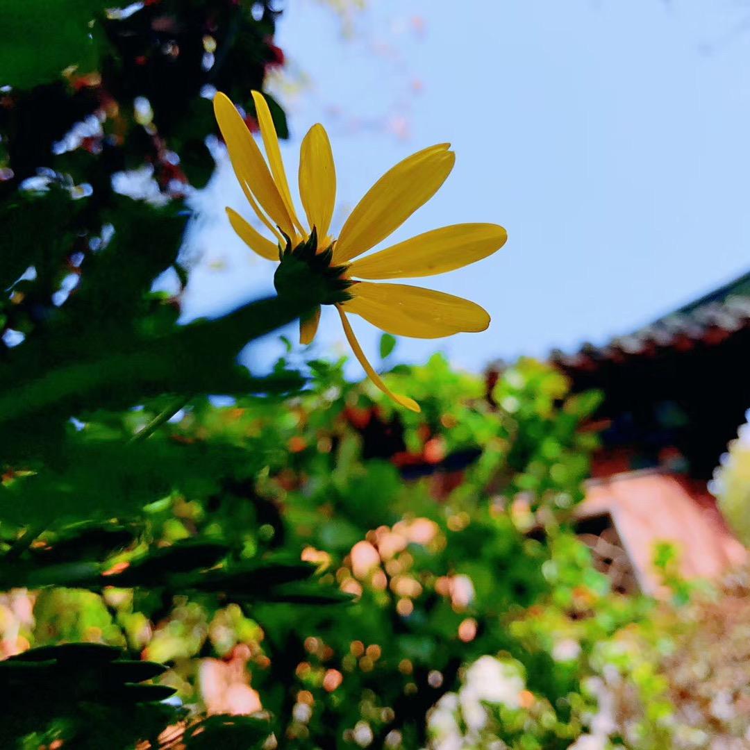 【羽田发型工作室】颐和商厦店