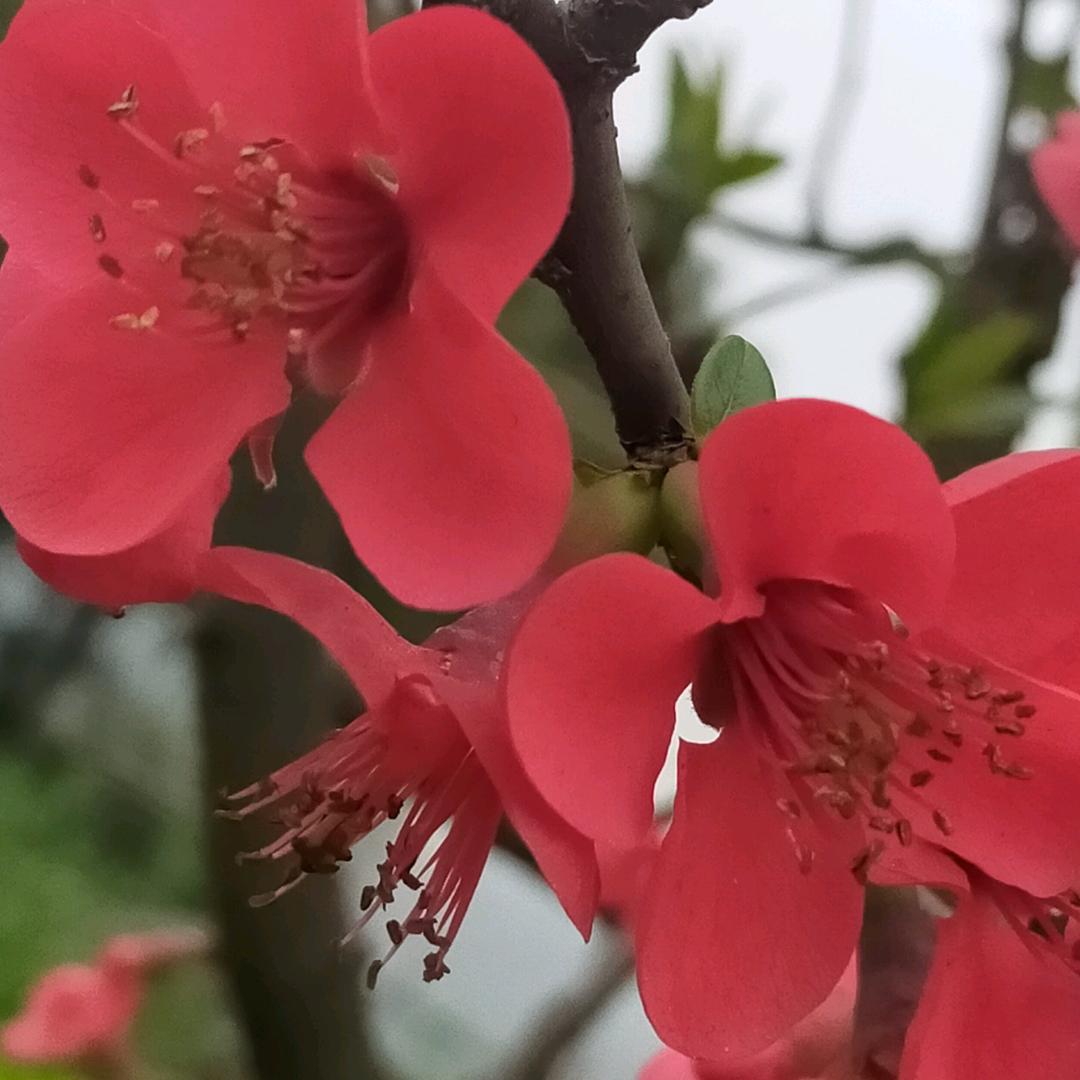 云朵