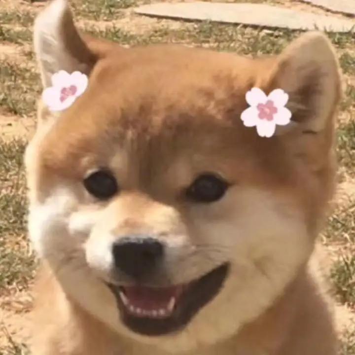笑的没有节操的大笑