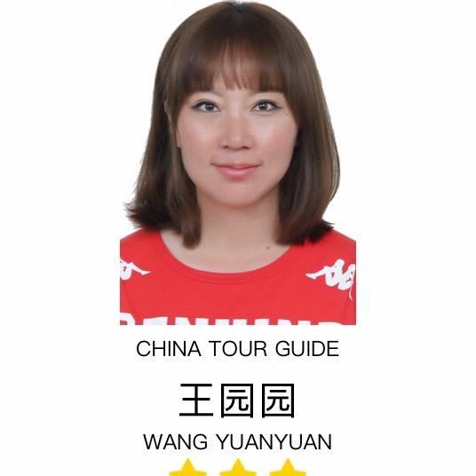 兵马俑导游王园园长恨歌华山陕历博