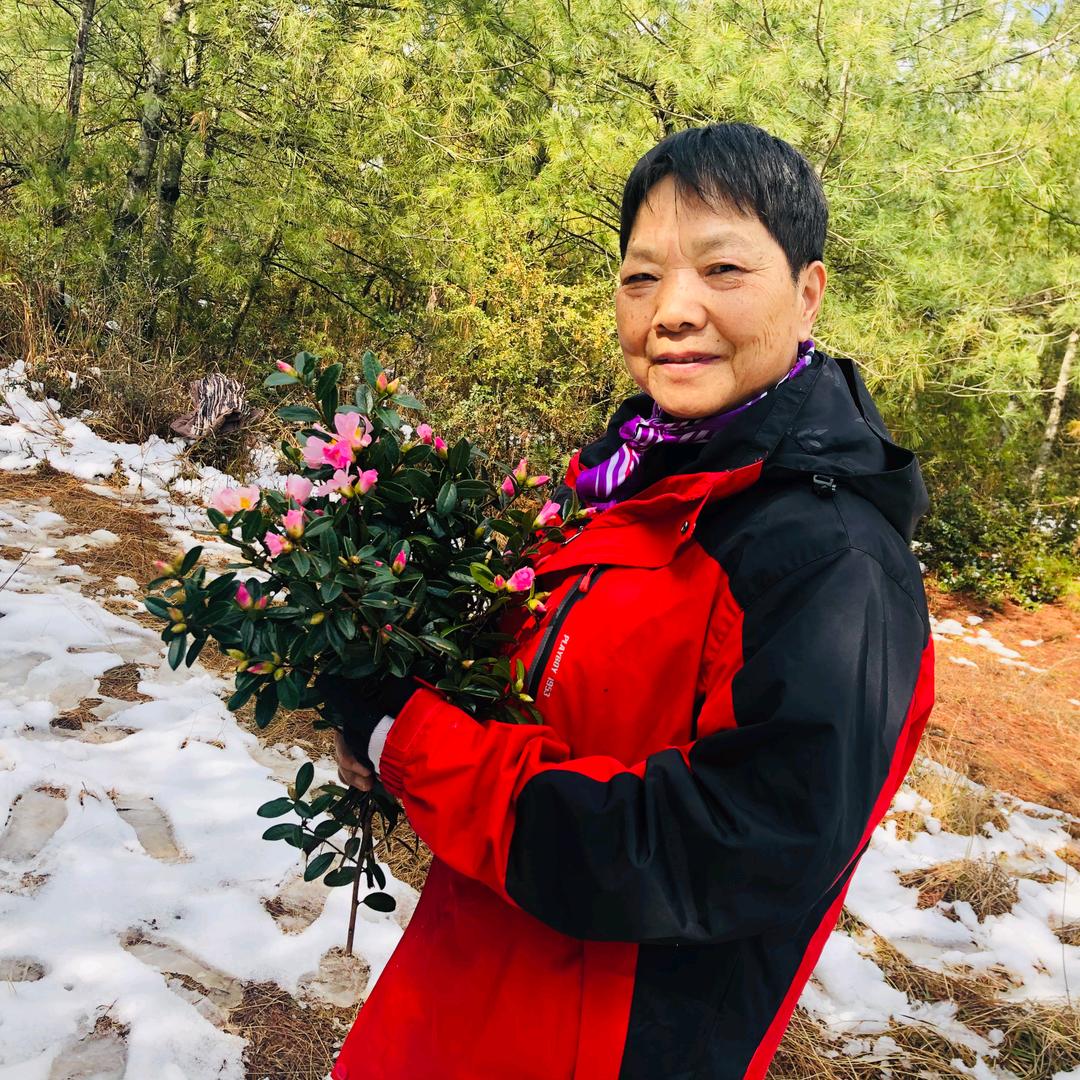 李果果