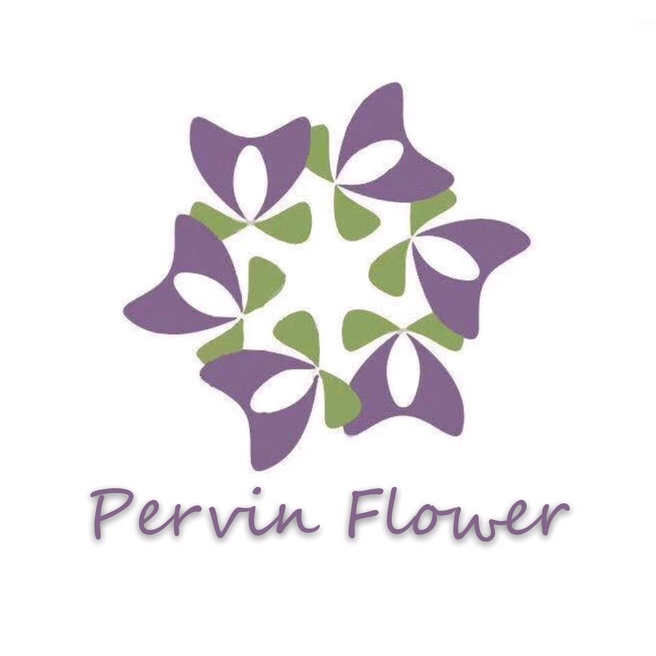 🧿 Pervin  Flower