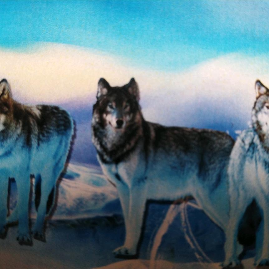 雷震子🐺头狼