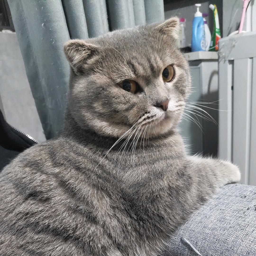 万能青年