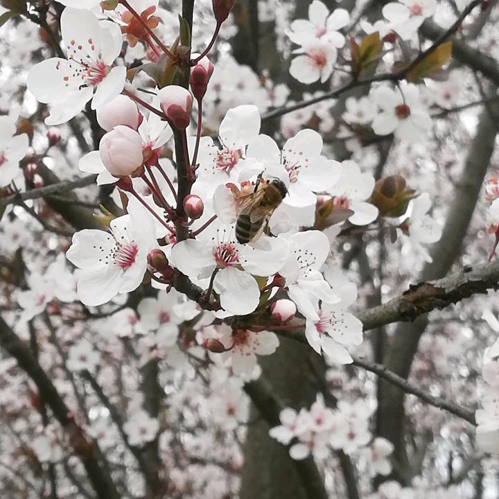 悠闲生活