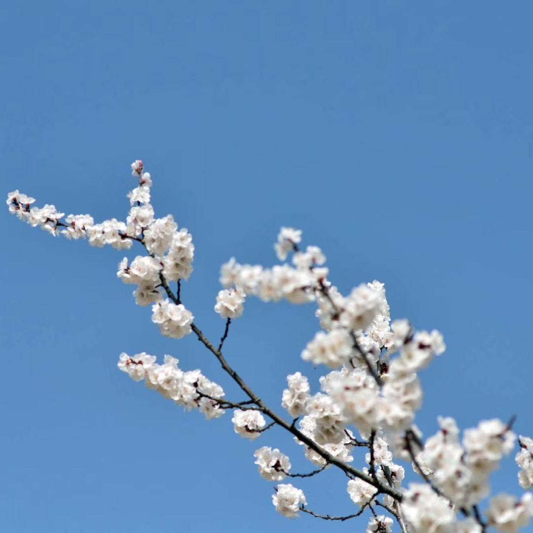 且行且珍惜．燕