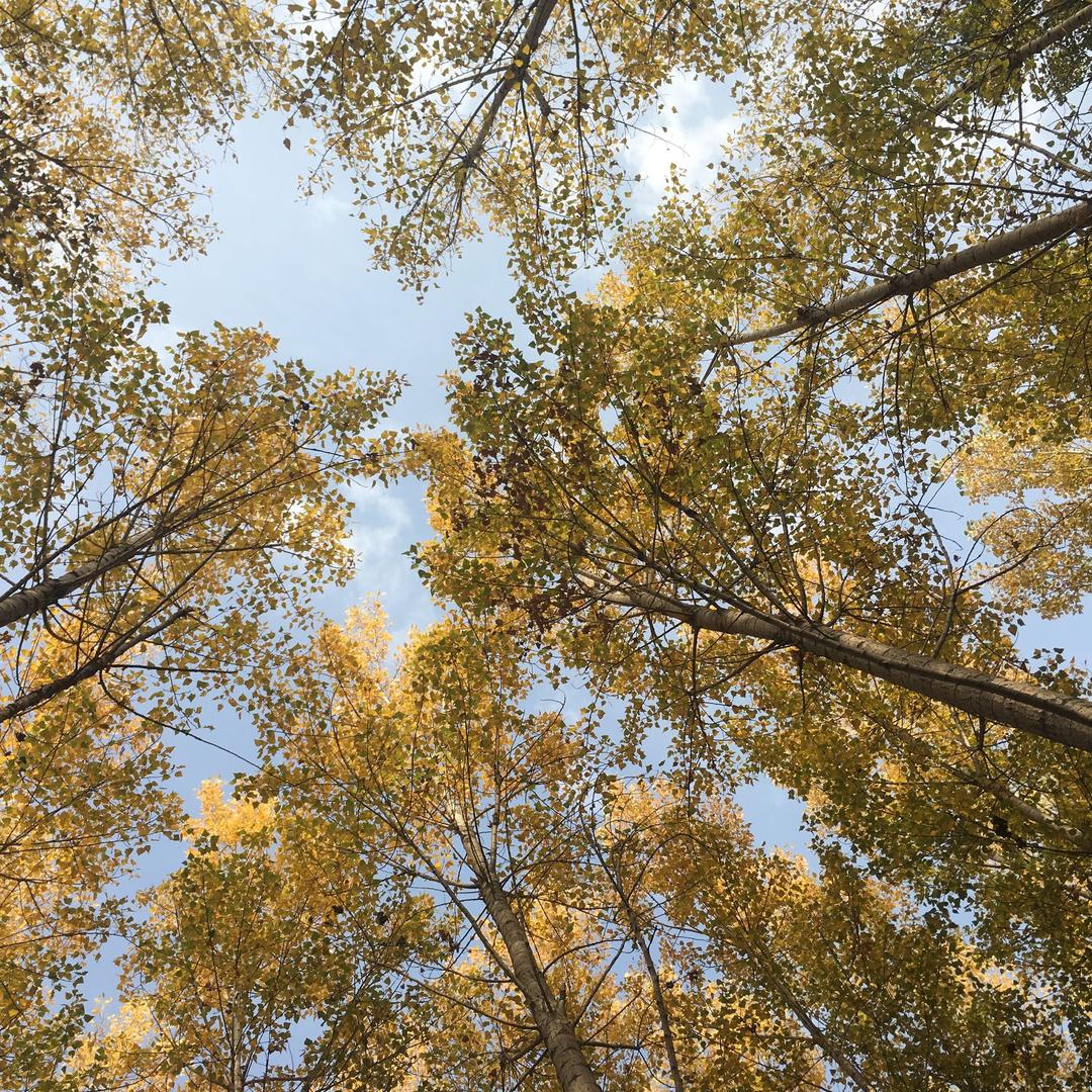 生而为人，我劝你善良