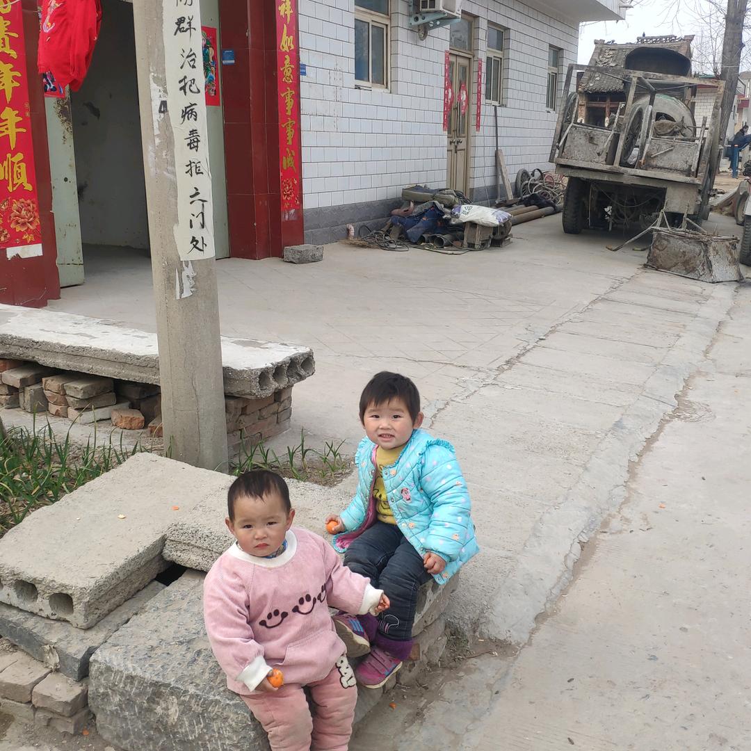 专业打頂