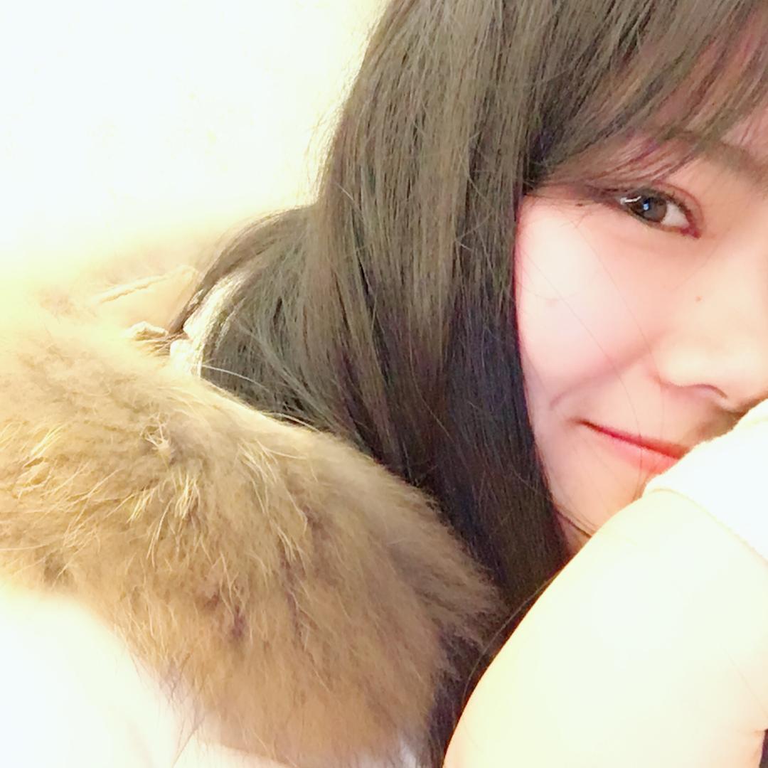 小刘的乱七八糟