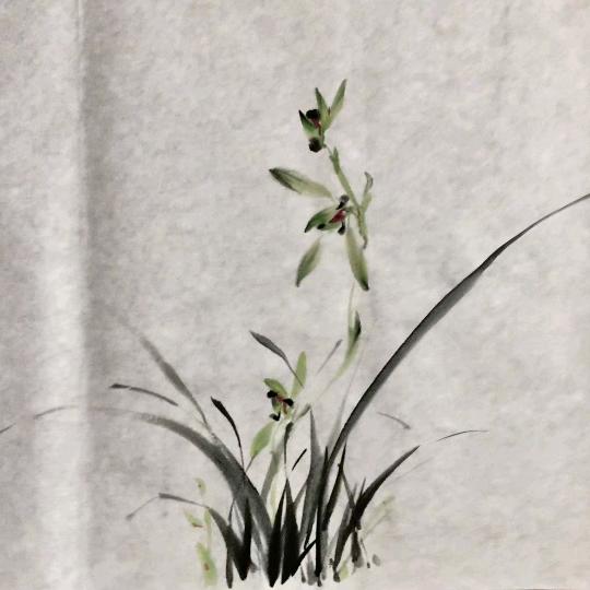 清风伴月
